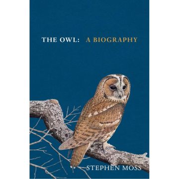 The Owl