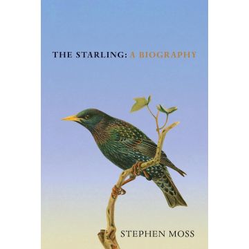 The Starling