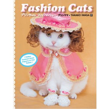 Fashion Cats