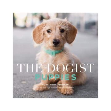 The Dogist Puppies