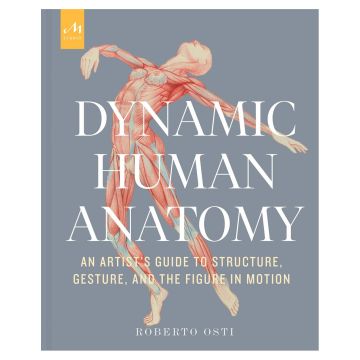 Dynamic Human Anatomy