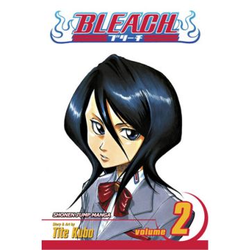 Bleach, Vol. 2