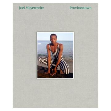 Joel Meyerowitz: Provincetown