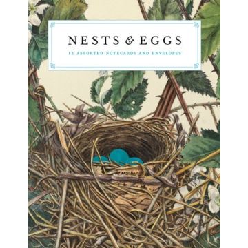 Nests and Eggs Notecards