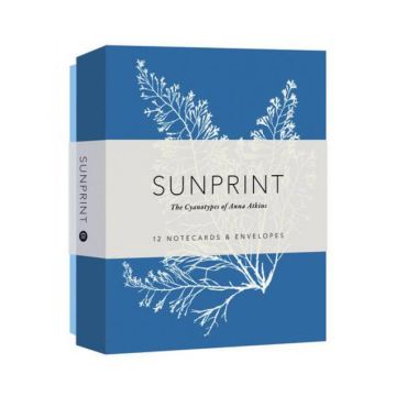 Sunprint Notecards