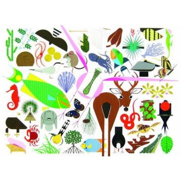 Charley Harper's Animal Kingdom