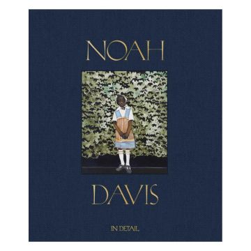 Noah Davis: In Detail