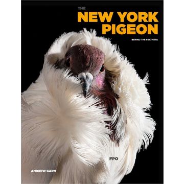 The New York Pigeon