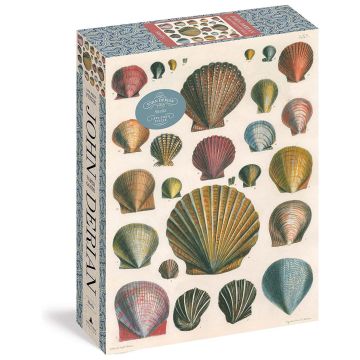 Puzzle - 1000 piece: Shells