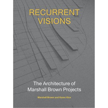 Recurrent Visions