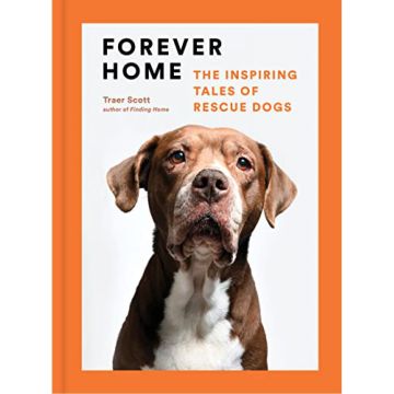 Forever Home