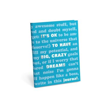 It's OK to Have Big, Crazy Dreams Journal