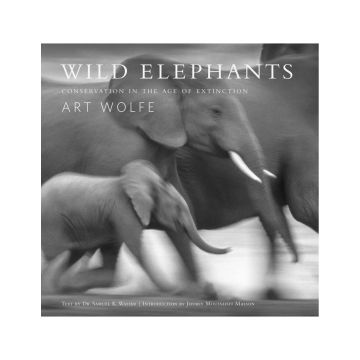 Wild Elephants