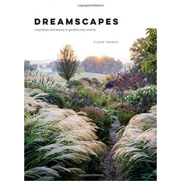 Dreamscapes