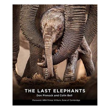 The Last Elephants