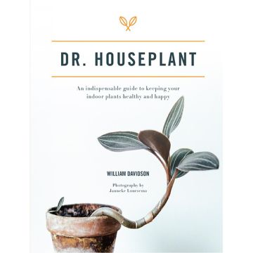 Dr. Houseplant