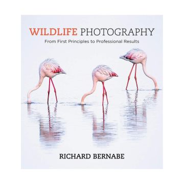 Wildlife Photography