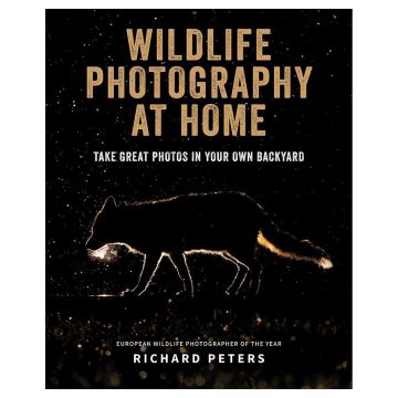 Wildlife Photography at Home