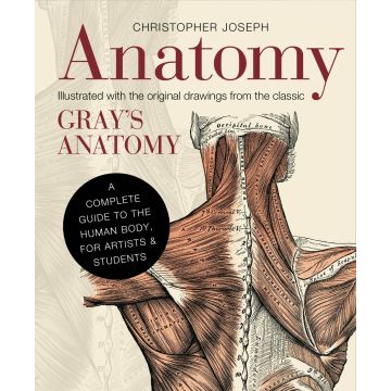 Anatomy