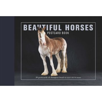 Beautiful Horses Postcard Book