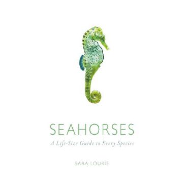 Seahorses