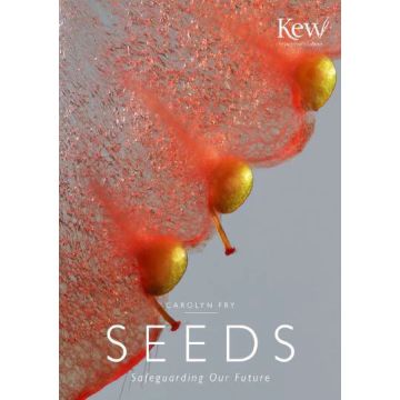 Seeds