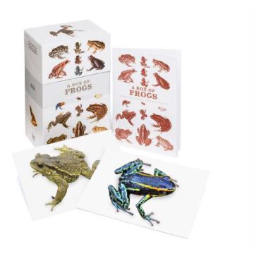 A Box of Frogs