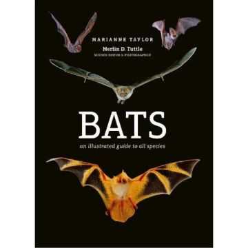 Bats