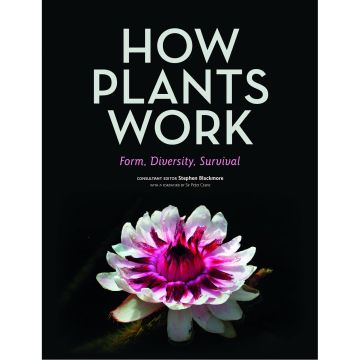 How Plants Work