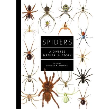 Spiders of the World