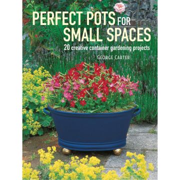 Perfect Pots for Small Spaces