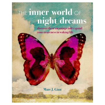 The Inner World of Night Dreams