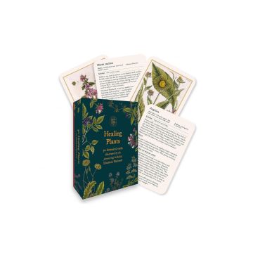 Healing Plants: 50 botanical cards