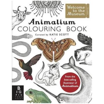 Welcome To The Museum - Animalium Colouring Book