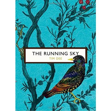 The Running Sky