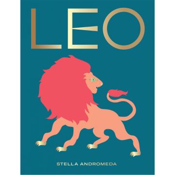 Seeing Stars: Leo