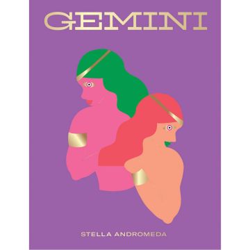 Seeing Stars: Gemini