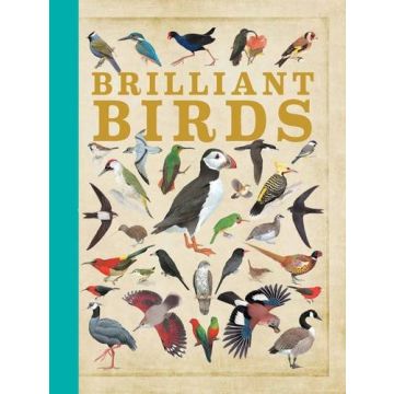 Brilliant Birds