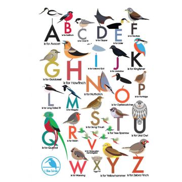 An Alphabet of Birds Address Book