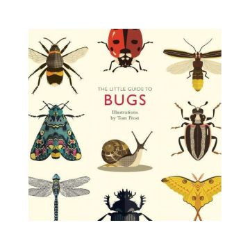 The Little Guide to Bugs