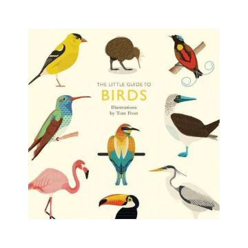 The Little Guide to Birds