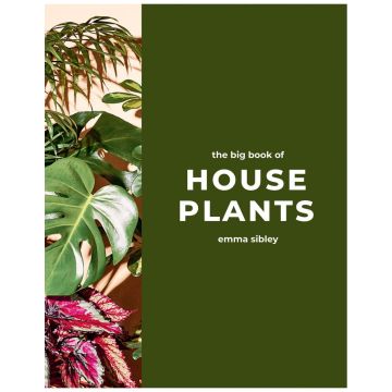 The Big Book of House Plants