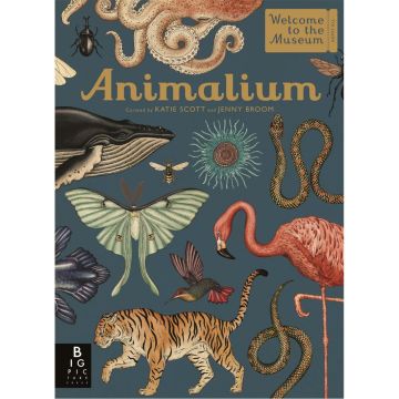 Welcome To The Museum: Animalium