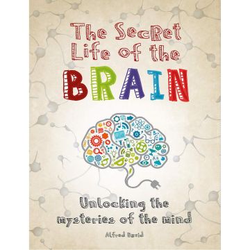 The Secret Life of the Brain