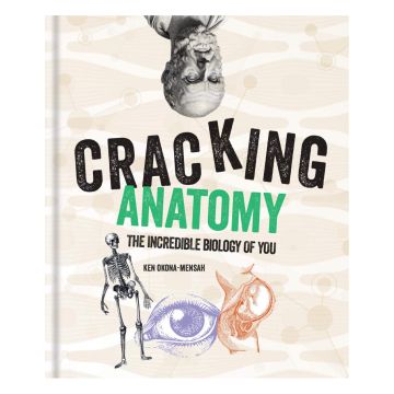 Cracking Anatomy