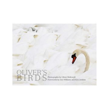 Oliver's Birds