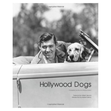 Hollywood Dogs