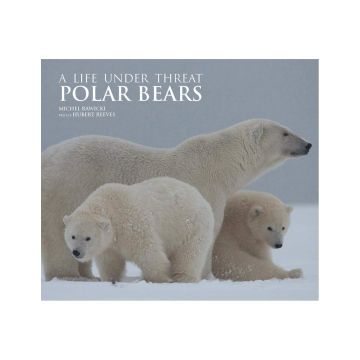 Polar Bears