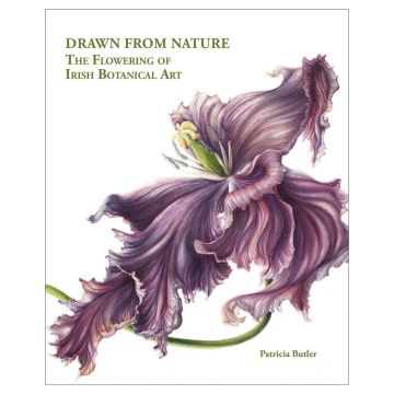 Drawn From Nature