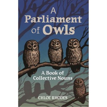 A Parliament of Owls